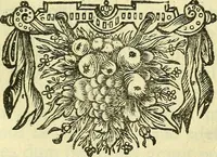 An illustration from Cerebri anatome : cui accessit nervorum descriptio et usus (1666)