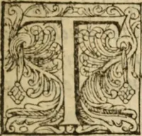 An illustration from Certain godly and learned sermons, preached by that worthy servant of Christ M. Ed. Philips in S. Saviors in Southwarke ... (1607)