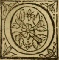 An illustration from Certain godly and learned sermons, preached by that worthy servant of Christ M. Ed. Philips in S. Saviors in Southwarke ... (1607)
