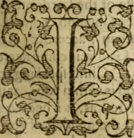 Picture 36 of 76 from Certain godly and learned sermons, preached by that worthy servant of Christ M. Ed. Philips in S. Saviors in Southwarke ... (1607), leaf 252