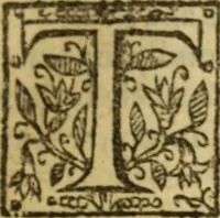 An illustration from Certain godly and learned sermons, preached by that worthy servant of Christ M. Ed. Philips in S. Saviors in Southwarke ... (1607)