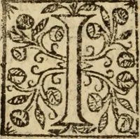 An illustration from Certain godly and learned sermons, preached by that worthy servant of Christ M. Ed. Philips in S. Saviors in Southwarke ... (1607)
