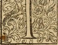 An illustration from Certain godly and learned sermons, preached by that worthy servant of Christ M. Ed. Philips in S. Saviors in Southwarke ... (1607)