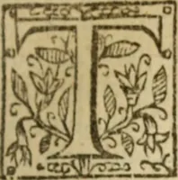 An illustration from Certain godly and learned sermons, preached by that worthy servant of Christ M. Ed. Philips in S. Saviors in Southwarke ... (1607)