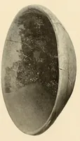 Picture 7 of 16 from Certain archaeological investigations in Trinidad, British West Indies (1918), leaf 17