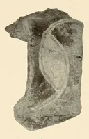 An illustration from Certain archaeological investigations in Trinidad, British West Indies (1918)