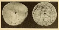 Picture 16 of 16 from Certain archaeological investigations in Trinidad, British West Indies (1918), leaf 29