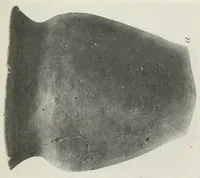 Picture 6 of 18 from Certain Caddo sites in Arkansas (1920), leaf 295