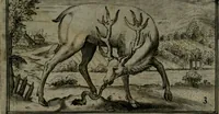 An illustration from Cervvs, hoc est, qvæ per cervvm significata fvere sacris Ægyptiorvm literis. Der Hirsch, vnd Bedeutung der Figuren desselben, welche bey den weisesten Leuten in Egypten breuchlich gewesen sein (1602)