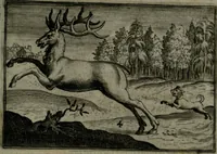 An illustration from Cervvs, hoc est, qvæ per cervvm significata fvere sacris Ægyptiorvm literis. Der Hirsch, vnd Bedeutung der Figuren desselben, welche bey den weisesten Leuten in Egypten breuchlich gewesen sein (1602)