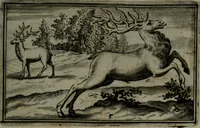An illustration from Cervvs, hoc est, qvæ per cervvm significata fvere sacris Ægyptiorvm literis. Der Hirsch, vnd Bedeutung der Figuren desselben, welche bey den weisesten Leuten in Egypten breuchlich gewesen sein (1602)