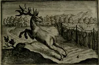 An illustration from Cervvs, hoc est, qvæ per cervvm significata fvere sacris Ægyptiorvm literis. Der Hirsch, vnd Bedeutung der Figuren desselben, welche bey den weisesten Leuten in Egypten breuchlich gewesen sein (1602)