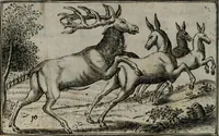 An illustration from Cervvs, hoc est, qvæ per cervvm significata fvere sacris Ægyptiorvm literis. Der Hirsch, vnd Bedeutung der Figuren desselben, welche bey den weisesten Leuten in Egypten breuchlich gewesen sein (1602)