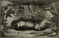 Picture 16 of 21 from Cervvs, hoc est, qvæ per cervvm significata fvere sacris Ægyptiorvm literis. Der Hirsch, vnd Bedeutung der Figuren desselben, welche bey den weisesten Leuten in Egypten breuchlich gewesen sein (1602), leaf 29