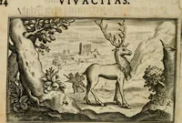 An illustration from Cervvs, hoc est, qvæ per cervvm significata fvere sacris Ægyptiorvm literis. Der Hirsch, vnd Bedeutung der Figuren desselben, welche bey den weisesten Leuten in Egypten breuchlich gewesen sein (1602)