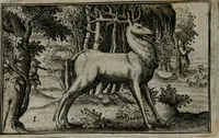 Picture 6 of 21 from Cervvs, hoc est, qvæ per cervvm significata fvere sacris Ægyptiorvm literis. Der Hirsch, vnd Bedeutung der Figuren desselben, welche bey den weisesten Leuten in Egypten breuchlich gewesen sein (1602), leaf 7