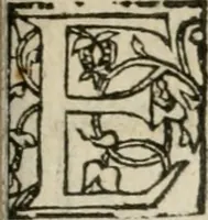 An illustration from Cest la dedvction du sumptueux ordre, plaisantz spectacles et magnifiqves theatres : dresses et exhibes par les citoiens de Rouen, ville metropolitaine du pays de Normandie, a la sacree maiesté du treschristian roy de France, Henry Secõd leur souuerain seigneur, et à tresillustre dame, ma dame Katharine de Medicis, la royne son espouze, lors de leur triumphant, ioyeulx & nouuel aduenement en icelle ville, qui fut es iours de mercredy & ieudy premier & secõd iours d'octobre, mil cinq cens cinquante : et pour plus expresse intelligence de ce tant excellent triumphe, les figures & pourtraictz des principaulx aornementz d'iceluy y sont apposez chascun en son lieu comme l'on pourra veoir par le discours de l'histoire (1551)