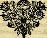 Picture 4 of 109 from C. F. Menestrerii ... Philosophia imaginum id est sylloge symbolorum amlissima, .. (1695), leaf 10