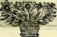 Picture 13 of 109 from C. F. Menestrerii ... Philosophia imaginum id est sylloge symbolorum amlissima, .. (1695), leaf 380