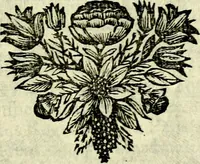 Picture 15 of 109 from C. F. Menestrerii ... Philosophia imaginum id est sylloge symbolorum amlissima, .. (1695), leaf 392
