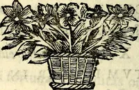 Picture 17 of 109 from C. F. Menestrerii ... Philosophia imaginum id est sylloge symbolorum amlissima, .. (1695), leaf 397