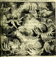 Picture 18 of 109 from C. F. Menestrerii ... Philosophia imaginum id est sylloge symbolorum amlissima, .. (1695), leaf 398