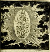 Picture 20 of 109 from C. F. Menestrerii ... Philosophia imaginum id est sylloge symbolorum amlissima, .. (1695), leaf 404