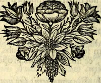 Picture 21 of 109 from C. F. Menestrerii ... Philosophia imaginum id est sylloge symbolorum amlissima, .. (1695), leaf 427