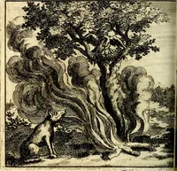 Picture 37 of 109 from C. F. Menestrerii ... Philosophia imaginum id est sylloge symbolorum amlissima, .. (1695), leaf 505
