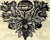 Picture 46 of 109 from C. F. Menestrerii ... Philosophia imaginum id est sylloge symbolorum amlissima, .. (1695), leaf 549