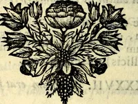 Picture 63 of 109 from C. F. Menestrerii ... Philosophia imaginum id est sylloge symbolorum amlissima, .. (1695), leaf 607