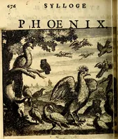 Picture 73 of 109 from C. F. Menestrerii ... Philosophia imaginum id est sylloge symbolorum amlissima, .. (1695), leaf 705