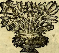 Picture 77 of 109 from C. F. Menestrerii ... Philosophia imaginum id est sylloge symbolorum amlissima, .. (1695), leaf 728