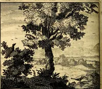 Picture 78 of 109 from C. F. Menestrerii ... Philosophia imaginum id est sylloge symbolorum amlissima, .. (1695), leaf 729