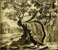 Picture 85 of 109 from C. F. Menestrerii ... Philosophia imaginum id est sylloge symbolorum amlissima, .. (1695), leaf 770