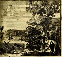 Picture 87 of 109 from C. F. Menestrerii ... Philosophia imaginum id est sylloge symbolorum amlissima, .. (1695), leaf 784