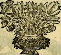 Picture 88 of 109 from C. F. Menestrerii ... Philosophia imaginum id est sylloge symbolorum amlissima, .. (1695), leaf 788