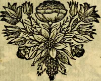 Picture 91 of 109 from C. F. Menestrerii ... Philosophia imaginum id est sylloge symbolorum amlissima, .. (1695), leaf 798