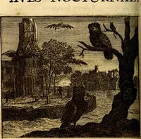 Picture 101 of 109 from C. F. Menestrerii ... Philosophia imaginum id est sylloge symbolorum amlissima, .. (1695), leaf 829