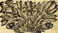 Picture 108 of 109 from C. F. Menestrerii ... Philosophia imaginum id est sylloge symbolorum amlissima, .. (1695), leaf 861