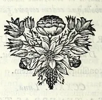 An illustration from C.F. Menestrerii S.J. Philosophia imaginum, id est, Sylloge symbolorum amplissima : qua plurima regum, principum, nobilium, foeminarum illustrium, eruditorum, aliorumque virorum in Europa praestantium, quae prostant, summa diligentia sunt congesta methodoque succincta exhibita : e lingua Gallica in Latinam translata, figurisque elegantioribus ac antea ornata (1695)