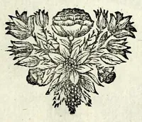 An illustration from C.F. Menestrerii S.J. Philosophia imaginum, id est, Sylloge symbolorum amplissima : qua plurima regum, principum, nobilium, foeminarum illustrium, eruditorum, aliorumque virorum in Europa praestantium, quae prostant, summa diligentia sunt congesta methodoque succincta exhibita : e lingua Gallica in Latinam translata, figurisque elegantioribus ac antea ornata (1695)