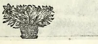 An illustration from C.F. Menestrerii S.J. Philosophia imaginum, id est, Sylloge symbolorum amplissima : qua plurima regum, principum, nobilium, foeminarum illustrium, eruditorum, aliorumque virorum in Europa praestantium, quae prostant, summa diligentia sunt congesta methodoque succincta exhibita : e lingua Gallica in Latinam translata, figurisque elegantioribus ac antea ornata (1695)