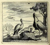 An illustration from C.F. Menestrerii S.J. Philosophia imaginum, id est, Sylloge symbolorum amplissima : qua plurima regum, principum, nobilium, foeminarum illustrium, eruditorum, aliorumque virorum in Europa praestantium, quae prostant, summa diligentia sunt congesta methodoque succincta exhibita : e lingua Gallica in Latinam translata, figurisque elegantioribus ac antea ornata (1695)