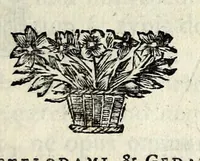 Picture 1 of 35 from C.F. Menestrerii S.J. Philosophia imaginum, id est, Sylloge symbolorum amplissima : qua plurima regum, principum, nobilium, foeminarum illustrium, eruditorum, aliorumque virorum in Europa praestantium, quae prostant, summa diligentia sunt congesta methodoque succincta exhibita : e lingua Gallica in Latinam translata, figurisque elegantioribus ac antea ornata (1695), leaf 9