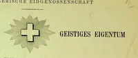 An illustration from Siegrist - Flying Machine, Swiss Patent 37419 of 1906 (1906)