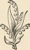 An illustration from The Chaldean account of Genesis : containing the description of the creation, the deluge, the tower of Babel, the destruction of Sodom, the times of the Patriarchs, and Nimrod, Babylonian fables, and legends of the gods : from the cuneiform inscriptions (1876)