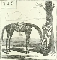 An illustration from Cham (1853)