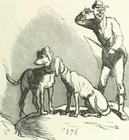 An illustration from Cham (1853)