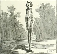 An illustration from Cham (1853)